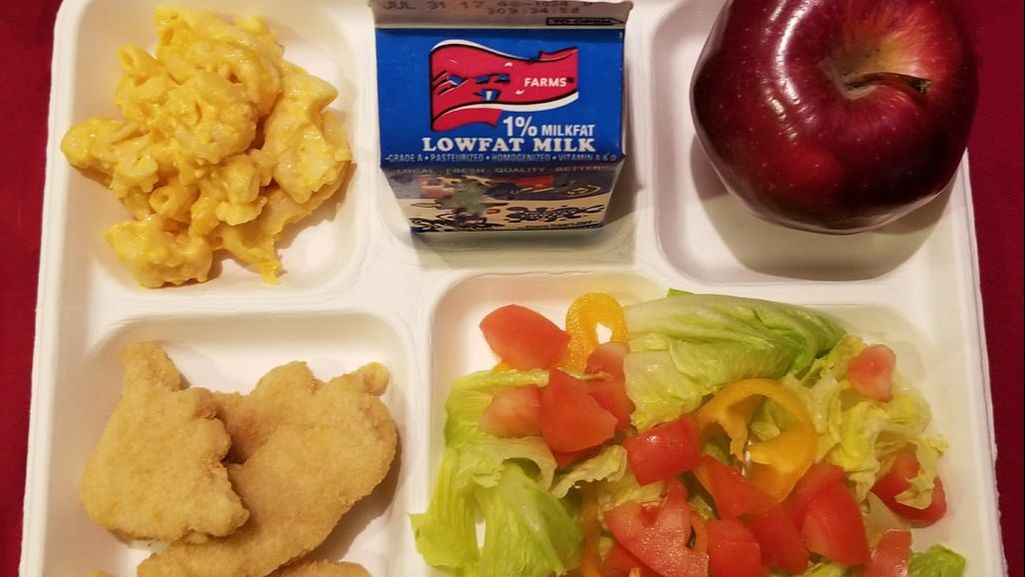 Food service disposbles: Biodegradable and recyclable food trays for school cafeteria needs.